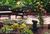 Palmoire Bed and Breakfast Resort::BedAndBreakfast.com