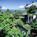 Diamond Hawaii Resort::Orbitz