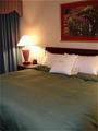 Homewood Suites by Hilton Buffalo Airport