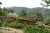 Terri's Homestay::BedAndBreakfast.com