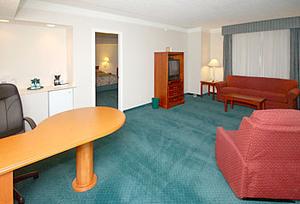 Web-msy_lqve-suite-1