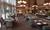 Red Lion Redding::Orbitz