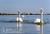 A Beach House Oceanfront Bed and Breakfast::BedAndBreakfast.com