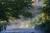 Little River Bed and Breakfast::BedAndBreakfast.com