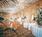 The Adolphus::Priceline.com