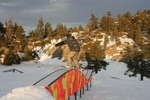 Mt. Baldy