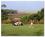 King And Prince Resort::Orbitz