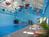 Best Western - Scenic Hill Resort::Expedia