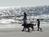 Folly Beach::Follybeach.com