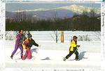 Mt Washington Valley Ski Area