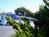 Blue Lagoon Inn::Hotels.com