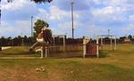 Benning Park
