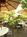 Ohenry Hotel::Orbitz