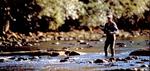Tn-cr_pg_patuxent_pk_pan