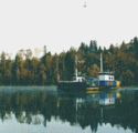 Canby Ferry