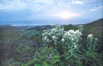 Tn-image_1_334