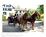 Ascot Country Inn::BedAndBreakfast.com