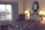 Tn-mnforest_b1