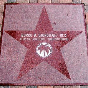Palm Springs Walk of Stars::Farm2.static.flickr.com
