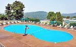Tn-pit_lasc-poolo-1