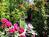 Casas De Suenos Old Town Inn::BedAndBreakfast.com