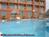 Holiday Inn Sunspree Galveston::Priceline.com