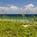 Fairfield Inn and Suites by Marriott Jupiter::Orbitz