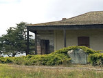 Tn-boronda_plaque_situ