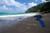 The Palmwood::TripAdvisor