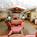 Courtyard by Marriott Ocala::ProfessionalTravelGuide.com
