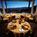 Auberge du Soleil Restaurant::Priceline.com