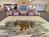 Best Western Ramkota Hotel::Orbitz