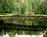 Big Mill Bed & Breakfast::BedAndBreakfast.com