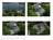 Lindenwood Inn::BedAndBreakfast.com