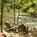 L'Auberge de Sedona::Hotels.com