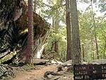 Top of Nevada Falls Hike
