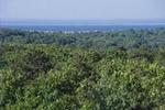 Shawme-Crowell State Forest
