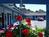 Blue Lagoon Inn::Travelocity.com