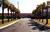 Best Western Palmetto Inn from Expedia