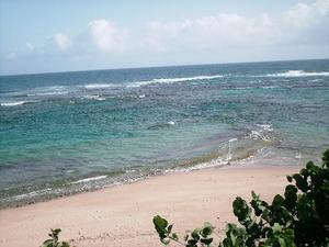 Villa Tropical::TripAdvisor