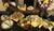 Country Inn & Suites By Carlson, Boone, Nc::ProfessionalTravelGuide.com
