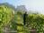Hermann Hill Vineyard & Inn::BedAndBreakfast.com