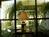 Holiday Inn Express Boston::VirtualTourist