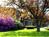 Best Western Framingham::Priceline.com