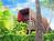 Hotel Molokai Oceanfront Restaurant::Yahoo! Travel
