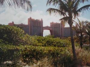Atlantis Paradise Island Coral Towers::VirtualTourist