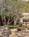 Luxe Summit Hotel Bel Air::Hotels.com