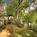L'Auberge de Sedona::Hotels.com