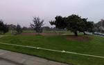Greer Park and Skateboard Park