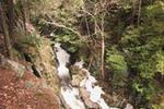 Windsor State Forest
